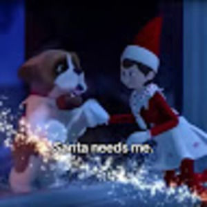 Meet your Posher, Naomi